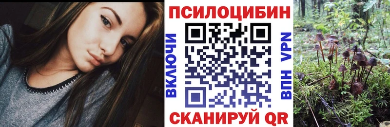 даркнет клад  блэк спрут ТОР  Злынка  Псилоцибиновые грибы GOLDEN TEACHER 